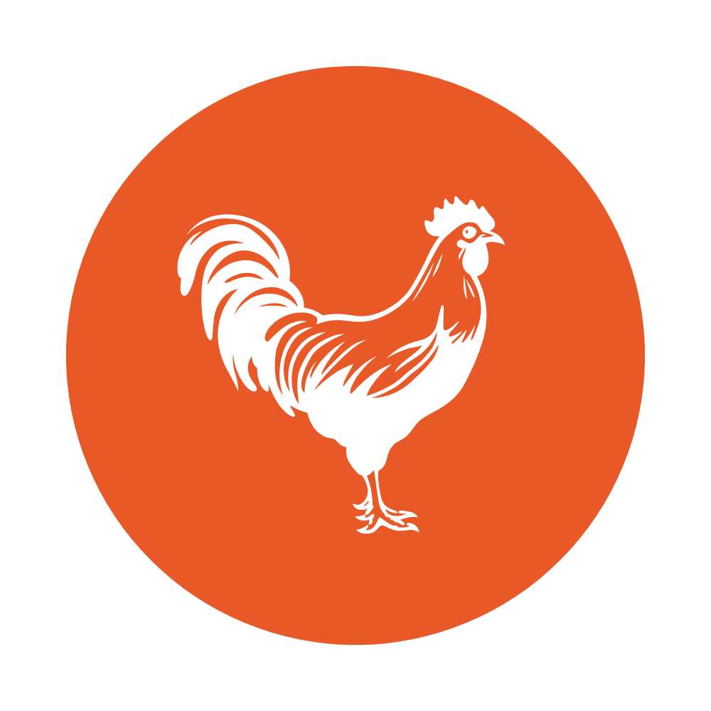 SJB Logo